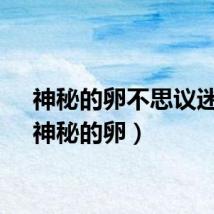 神秘的卵不思议迷宫（神秘的卵）