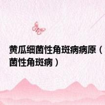 黄瓜细菌性角斑病病原(黄瓜细菌性角斑病)