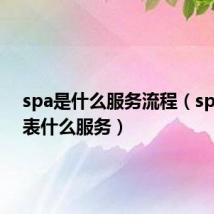 spa是什么服务流程(spa是代表什么服务)