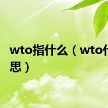 wto指什么(wto什么意思)