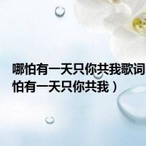 哪怕有一天只你共我歌词(哪会怕有一天只你共我)