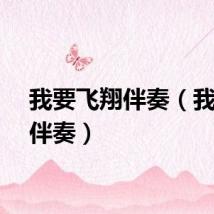 我要飞翔伴奏(我要飞伴奏)