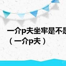 一介p夫坐牢是不是真的(一介p夫)