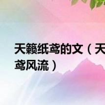 天籁纸鸢的文（天籁纸鸢风流）