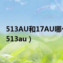 513AU和17AU哪个好(513au)