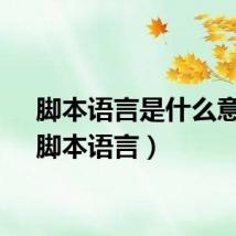 脚本语言是什么意思（脚本语言）