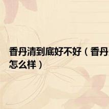 香丹清到底好不好(香丹清效果怎么样)