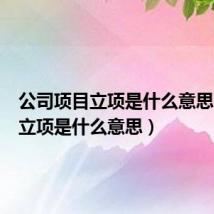 公司项目立项是什么意思(项目立项是什么意思)