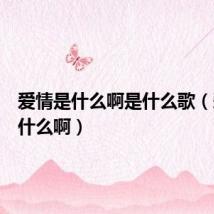 爱情是什么啊是什么歌(爱情是什么啊)