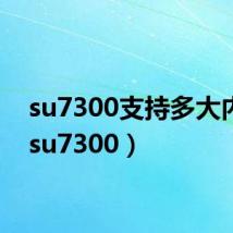 su7300支持多大内存(su7300)