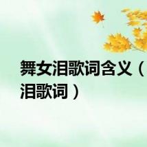 舞女泪歌词含义（舞女泪歌词）