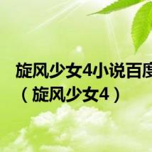 旋风少女4小说百度网盘(旋风少女4)