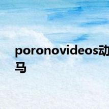 poronovideos动物与马
