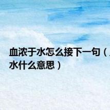 血浓于水怎么接下一句(血浓于水什么意思)