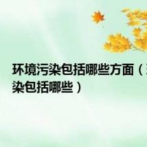 环境污染包括哪些方面(环境污染包括哪些)