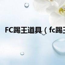 FC踢王道具（fc踢王）
