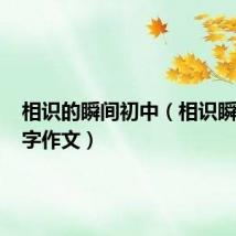 相识的瞬间初中(相识瞬间500字作文)