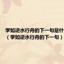 学如逆水行舟的下一句是什么意思(学如逆水行舟的下一句)