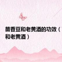 茴香豆和老黄酒的功效(茴香豆和老黄酒)