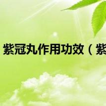 紫冠丸作用功效（紫冠）