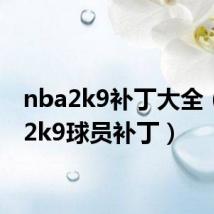 nba2k9补丁大全(nba2k9球员补丁)