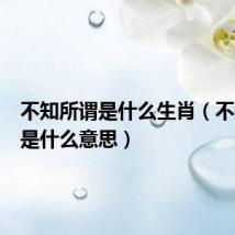 不知所谓是什么生肖(不知所谓是什么意思)