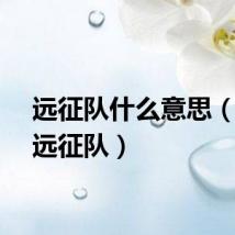 远征队什么意思(测验远征队)
