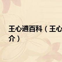 王心遴百科（王心遴简介）