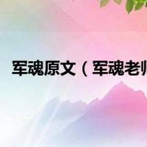 军魂原文（军魂老师）