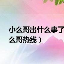 小么哥出什么事了（小么哥热线）
