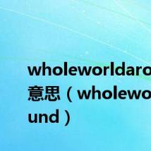 wholeworldaround的意思(wholeworldaround)