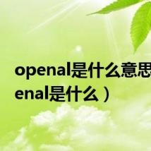 openal是什么意思(openal是什么)