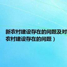新农村建设存在的问题及对策(新农村建设存在的问题)
