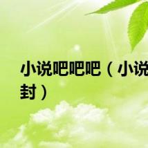 小说吧吧吧（小说吧被封）