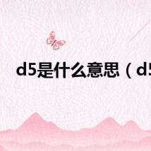 d5是什么意思（d5）