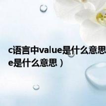 c语言中value是什么意思(value是什么意思)