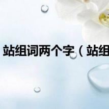 站组词两个字（站组词）