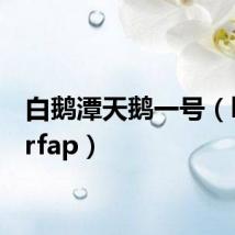 白鹅潭天鹅一号(betterfap)