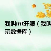我叫mt开服(我叫mt多玩数据库)