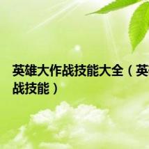 英雄大作战技能大全(英雄大作战技能)