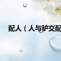 配人（人与驴交配）