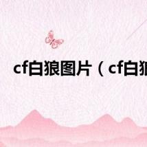 cf白狼图片（cf白狼）