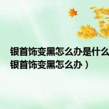 银首饰变黑怎么办是什么原因(银首饰变黑怎么办)