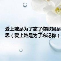 爱上她是为了忘了你歌词是什么意思(爱上她是为了忘记你)