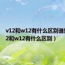 v12和w12有什么区别谁好(v12和w12有什么区别)