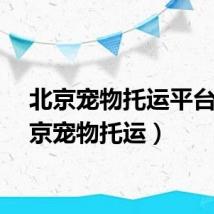 北京宠物托运平台（北京宠物托运）