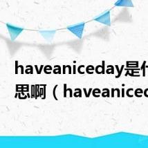 haveaniceday是什么意思啊(haveaniceday)