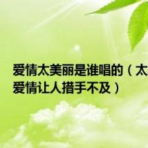 爱情太美丽是谁唱的(太美丽的爱情让人措手不及)