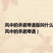风中的承诺粤语版叫什么名字(风中的承诺粤语)