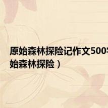原始森林探险记作文500字(原始森林探险)